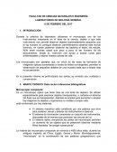 Informe de laboratorio de microscopia.