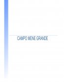 Campo Mene Grande Venezuela.