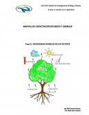 NECESIDADES HIDRICAS DE LOS CULTIVOS