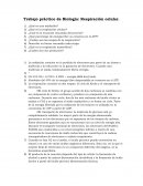 ¿Qué porcentaje de energía libre se conserva en el ATP?