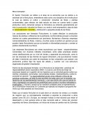 Marco Conceptual: Trabajo