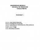 Actividad 1.- Investigación de mercado