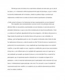 Sobre el experimento