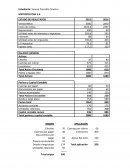Descripción de los componentes del flujo de efectivo de METROPOLITAN S.A
