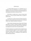 DACTILOSCOPIA. Clasificación