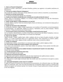 Que derechos se ven transgredidos a los migrantes