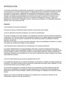 Formación Profesional. ¿Qué entiendes por formación profesional?