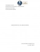 EJERCICIOS PRÁCTICOS 1 DEL LIBRO DE WINDOWS