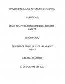 Neuromarketing. COMO INFLUYE LA PUBLICIDAD EN EL CEREBRO – ENSAYO