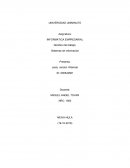 Sistemas de informacion.