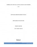 SOFTWARE ADMINISTRADOR DE TICKETS.