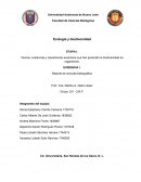 Teorías, evidencias y mecanismos evolutivos que han generado la biodiversidad de organismos