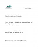 Reflexión y Aplicación de las Competencias de la Inteligencia Emocional . Steve Jobs