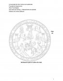 Plan de fertilización en maiz