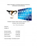 Fase 2: Plan de Mercadotecnia