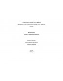 METODOLOGÍA DE VALORACIÓN ECONÓMICA DEL AMBIENTE