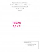 El autodominio personal: Es aquella capacidad humana que tiene una persona y que le permite controlar las emociones y los impulsos que lo afectan en determinado momento y ante un evento concreto, o en su cotidianidad.