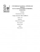 Biología Ciencias de la Tierra