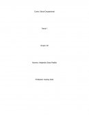 Curso: Salud Ocupacional Tarea 1