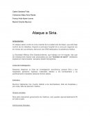 Nosotros elegimos la línea de investigación económica, porque Siria y sus hospitales perdieron ingresos materiales debido a los bombardeos y es prácticamente imposible restaurar dichos daños.