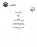 LA EMPADRONADORA: ¡osea que naca! No se dice “pos” se dice “pues” y aparte para tu informacion la chava que salia me dejo pasar.