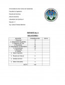 Área de Química Laboratorio de Química 4