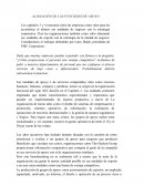 Alineación de las funciones de apoyo