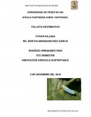 ENFERMEDAD DE PIERCE EN VID FOLLETO.