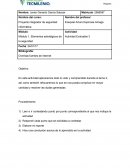 Proyecto integrador de seguridad informática Activivdad. 3