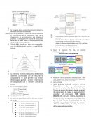 Se encarga de buscar nuevas instrucciones interpretarlas y llevarlas a la ALU para ser ejecutadas.