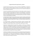 Programa Nacional de Cajas Rurales y Urbanas