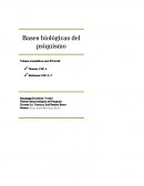 Bases biológicas del psiquismo