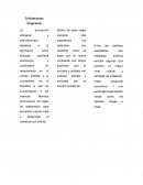 Civilizaciones Originarias