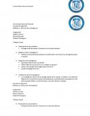 Verificar el área donde se pierde el procedimiento o proceso en la entrega de piezas a clientes.