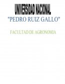 Temperaturas maximas y minimas año 2011 en lAMBAYEQUE