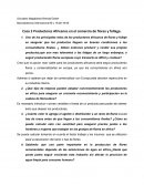 Caso 2 Productores Africanos en el comercio de flores y follage.