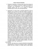 Sueño: Proyecto Ambiental