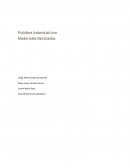 Técnicamente, nuestro proyecto es un Equipo de SandBlast, que se compone de una fuente emisora de aire a presión (compresor), un recipiente para contener abrasivo y una boquilla por la que sale la mezcla de aire y abrasivo a presión.