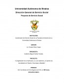 Coordinación del Servicio Social de La Facultad de Derecho de La Universidad Autónoma de Sinaloa