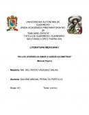 LITERATURA MEXICANA I “EN LOS JÓVENES UN AMOR A VARIOS KILÓMETROS”