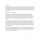 El metabolismo es conocido como un tipo de transformaciones químicas que tienen los nutrientes en el momento de digestión y absorción correspondientes.