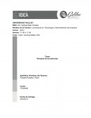 Sinopsis de las películas.