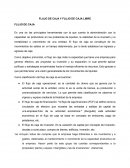 Flujo de caja y flujo de caja libre