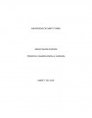 UNA CAPACITACION A PROFESORES.