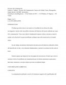 LA CONTAMINACIÓN AMBIENTAL. CONCEPTO. HIPOTESIS