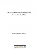 DECALOGO DE VALORES. MOMENTOS RELEVANTES DE LA EVOLUCION DE LA UNAD
