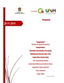 Limitaciones o posibles contratiempos para concluir la investigación