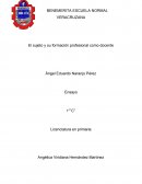 Sujeto y su profesión profesional como docente.