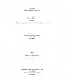 Actividad 7 Ejercicio de aplicación: problema de investigación y objetivos