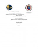 Emisor: Aquél que transmite la información.